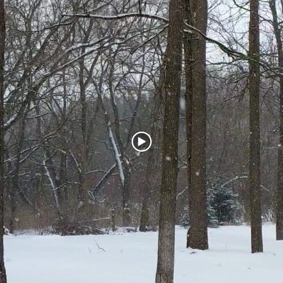 Meet your Posher, Adam - Picture 1 of 1